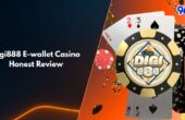 Digi888 eWallet casino review featuring poker chips and playing cards on 96M gaming platform