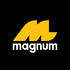 Logo of Magnum 4D